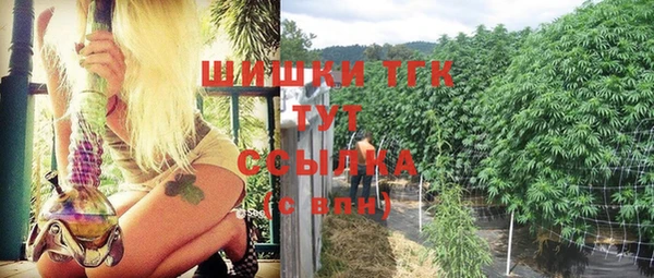 гашик Белокуриха