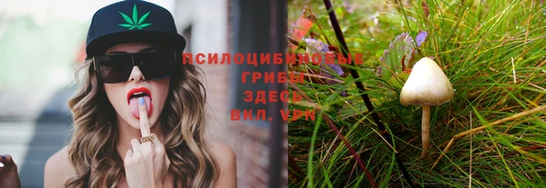 дурь Беломорск